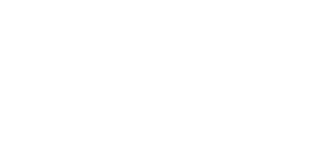 Real Asset
